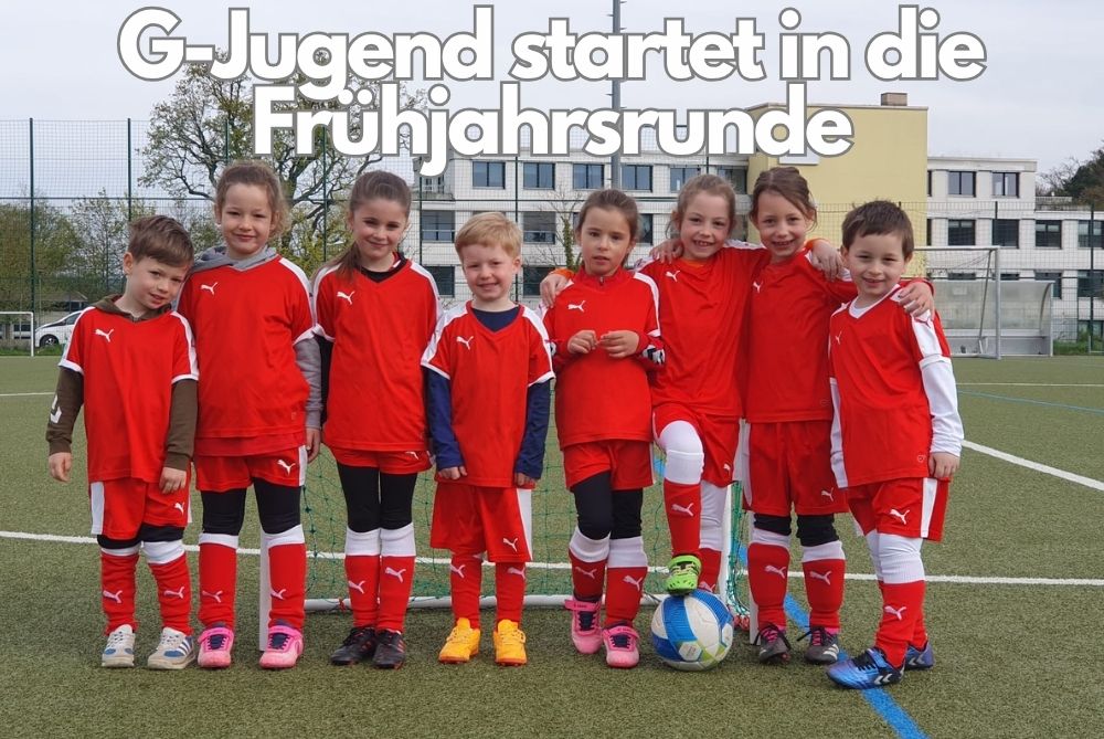 Beitragsbild mit Link zum Beitrag