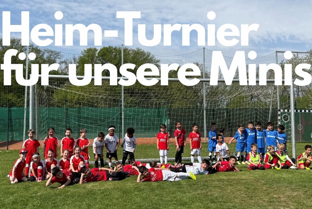 Beitragsbild mit link zum Beitrag